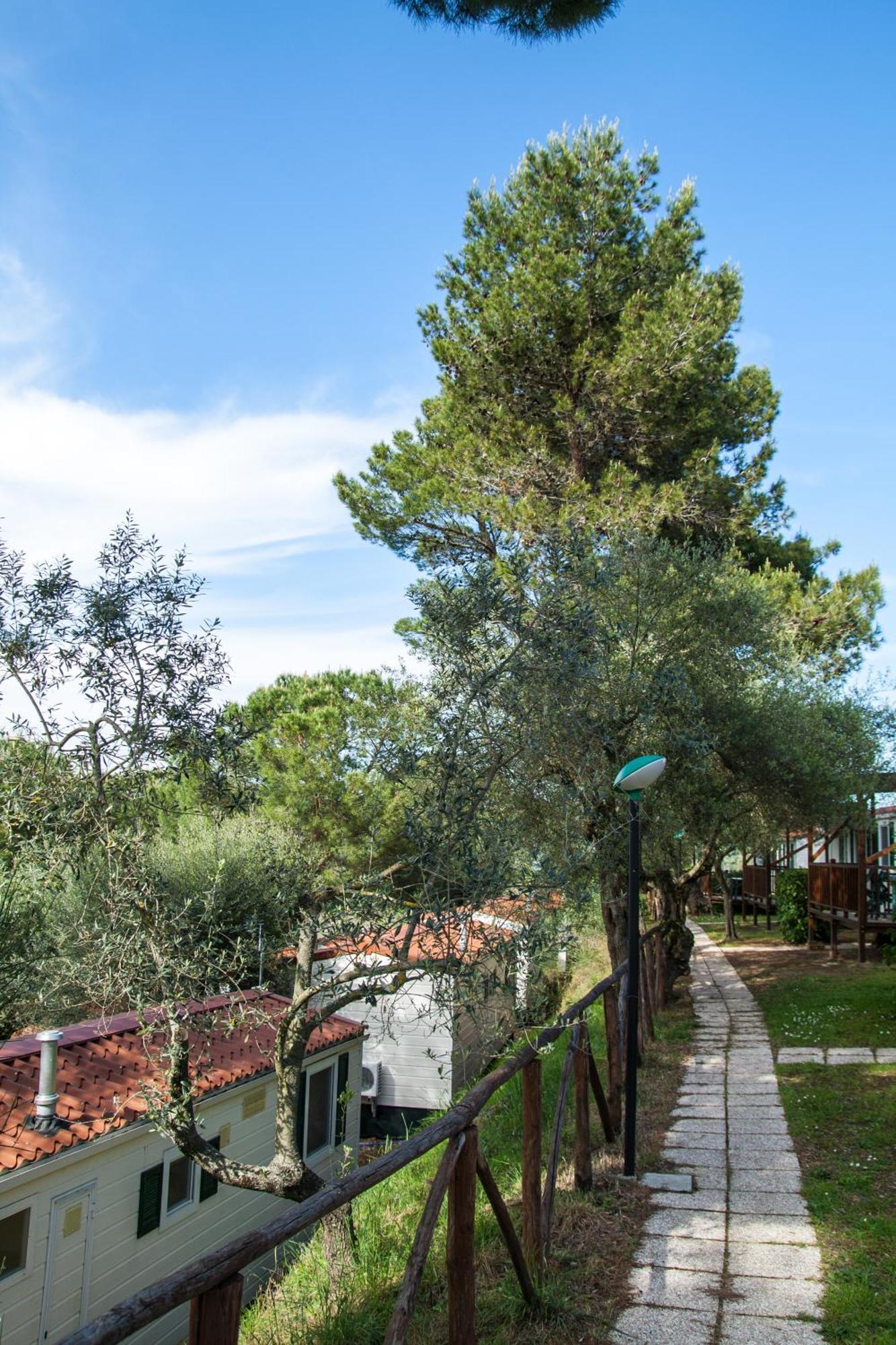 Cerquestra Camping Village Monte del Lago Zewnętrze zdjęcie